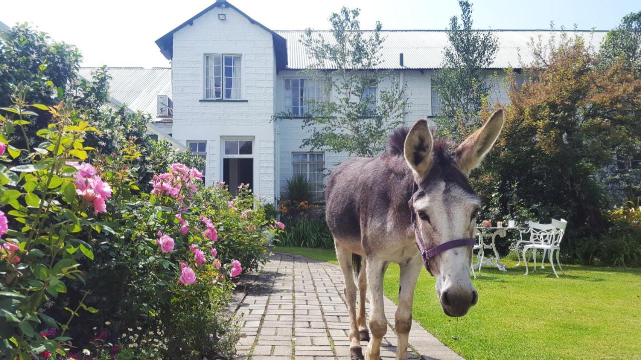 Green Lantern Inn Van Reenen エクステリア 写真